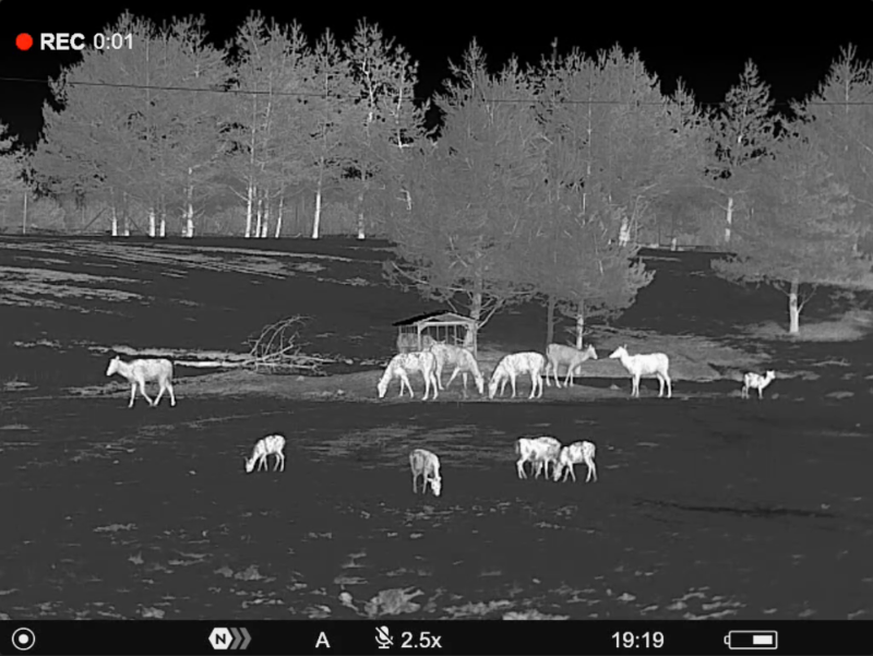Pulsar Telos LRF XP50 Thermal Monocular thermal monocularthermal display view sample
