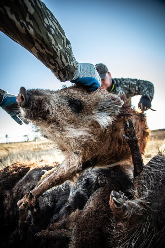 Can You Use a Thermal Scope During the Day?