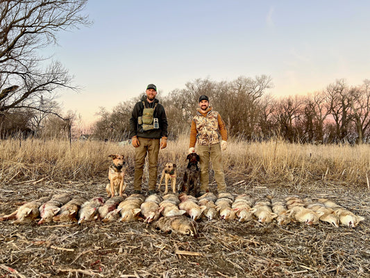 Best Thermal Scope for Coyote Hunting: The Complete Buyers Guide