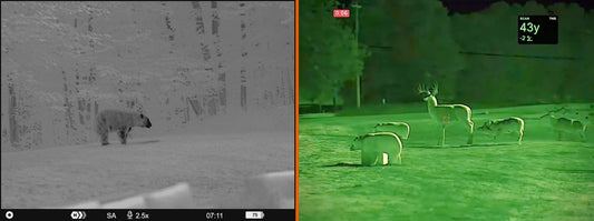 Thermal vs. Night Vision: Which Is Right for Your Hunt?