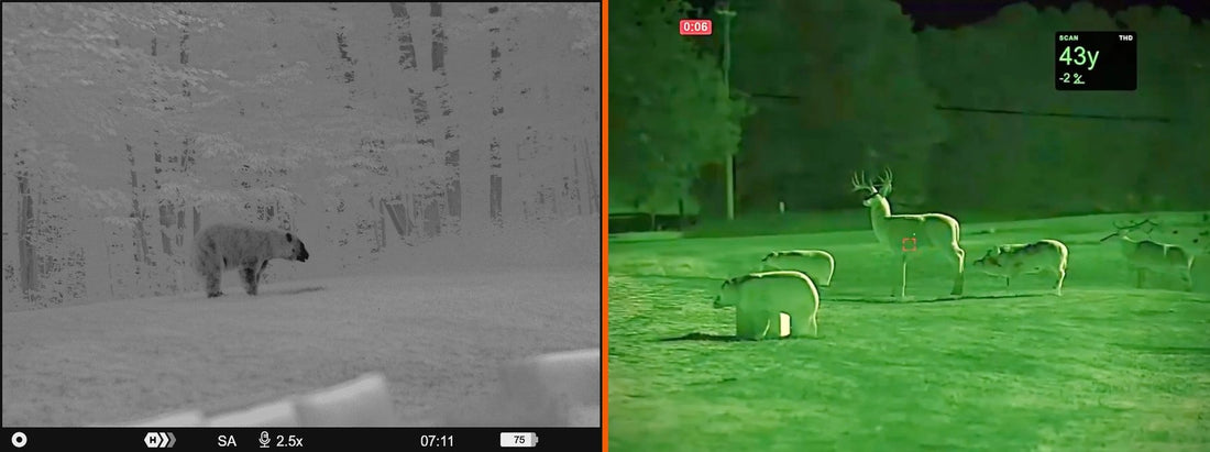 Thermal vs. Night Vision: Which Is Right for Your Hunt?