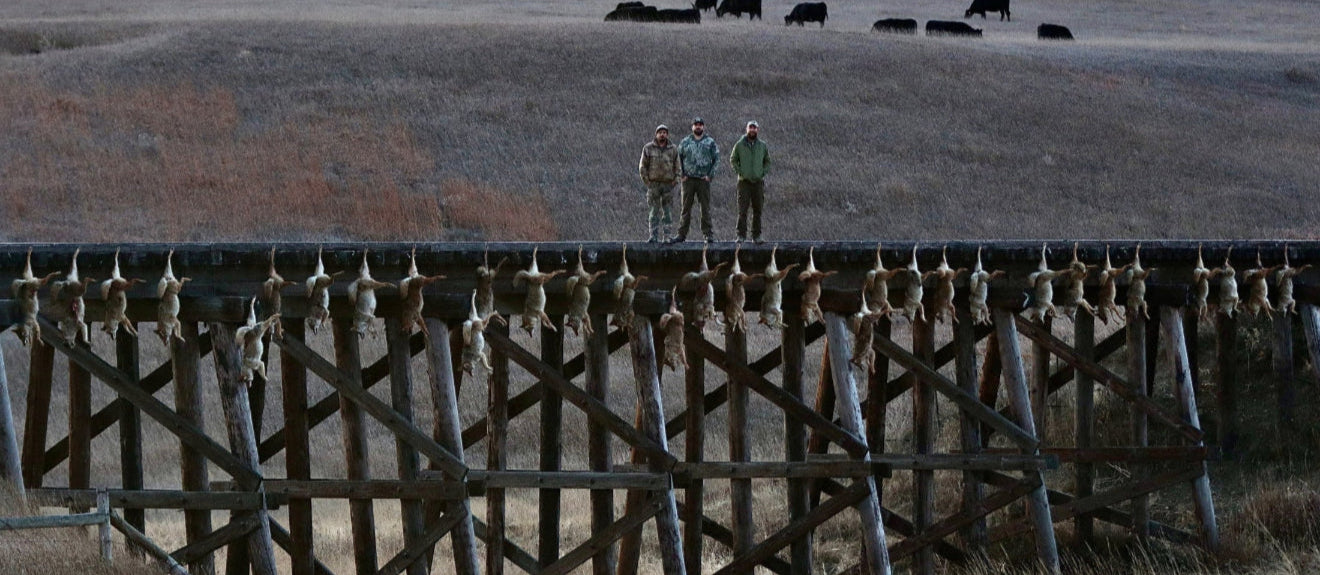 Find the Perfect Thermal Product — Without the Guesswork